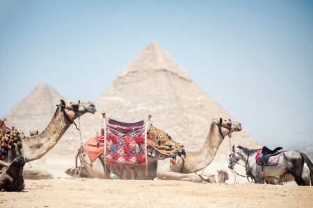 Horus Guest House Pyramids View Horus Guest House Pyramids View11